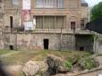 Thermes de Cluny (vestiges gallo-romains) (5e)